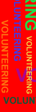 Image: Volunteering graphic